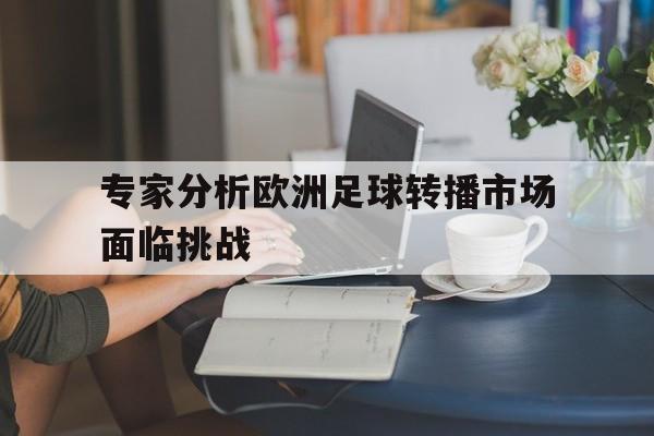 专家分析欧洲足球转播市场面临挑战 专家分析欧洲足球转播市场面临挑战